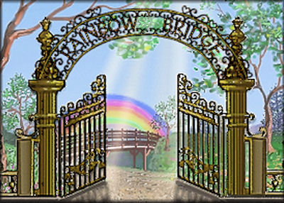 www.rainbowsbridge.com