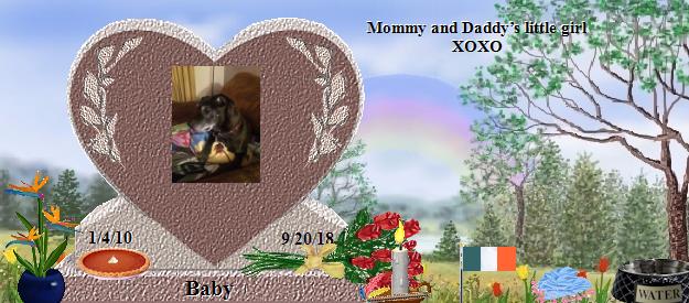 Baby's Rainbow Bridge Pet Loss Memorial Residency Image