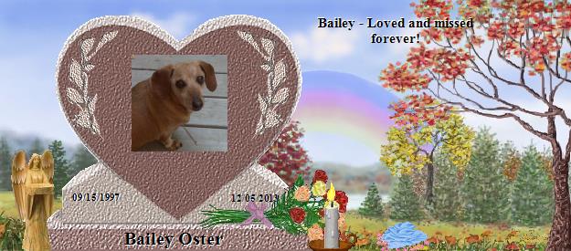 Bailey Oster's Rainbow Bridge Pet Loss Memorial Residency Image