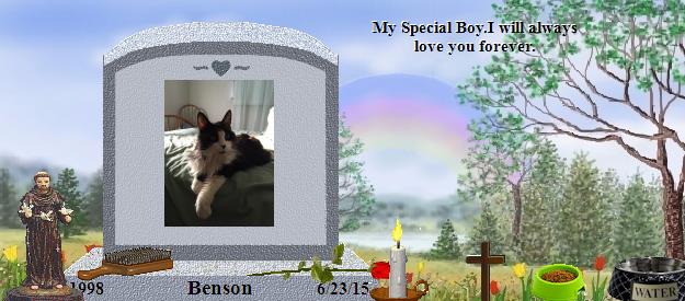 Benson's Rainbow Bridge Pet Loss Memorial Residency Image