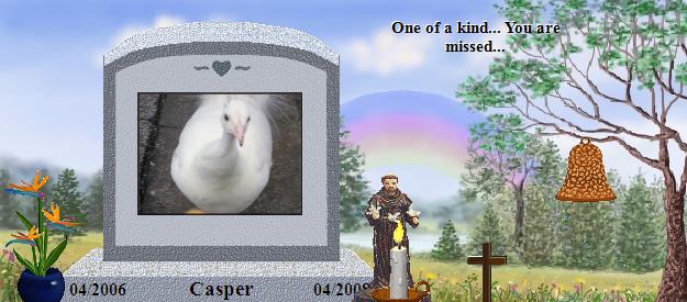 Casper's Rainbow Bridge Pet Loss Memorial Residency Image