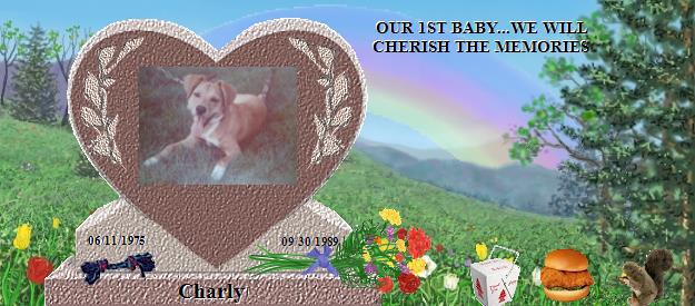 Charly's Rainbow Bridge Pet Loss Memorial Residency Image