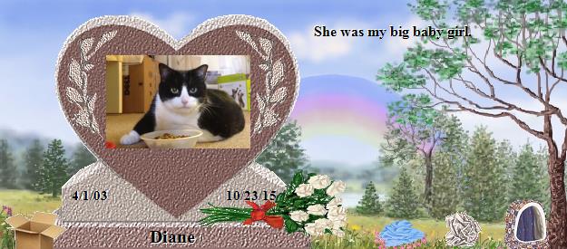Diane's Rainbow Bridge Pet Loss Memorial Residency Image