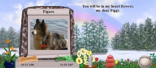 Figaro's Rainbow Bridge Pet Loss Memorial Residency Image
