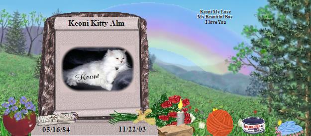 Keoni Kitty Alm's Rainbow Bridge Pet Loss Memorial Residency Image