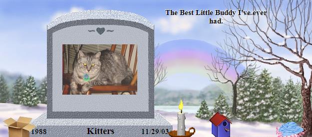 Kitters's Rainbow Bridge Pet Loss Memorial Residency Image