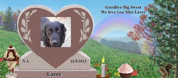 Lacey's Rainbow Bridge Pet Loss Memorial Residency Image
