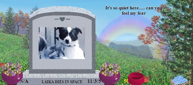 LAIKA DIES IN SPACE's Rainbow Bridge Pet Loss Memorial Residency Image