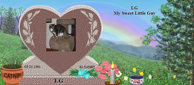 LG's Rainbow Bridge Pet Loss Memorial Residency Image