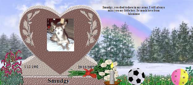 Smudgy's Rainbow Bridge Pet Loss Memorial Residency Image