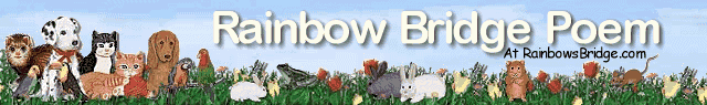 Rainbow Bridge Poem