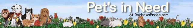Your Pets health