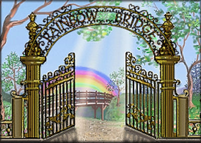 The Rainbow Bridge Poem The Beautiful Journey Of A Pet After Death