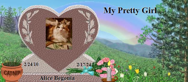 Alice Begonia's Rainbow Bridge Pet Loss Memorial Residency Image