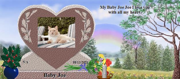 Baby Joe's Rainbow Bridge Pet Loss Memorial Residency Image