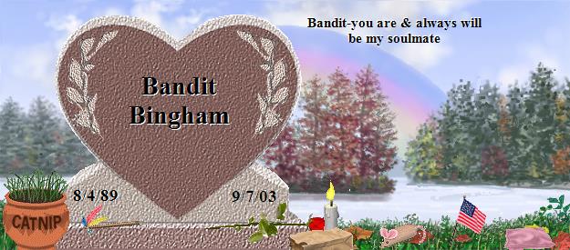 Bandit Bingham's Rainbow Bridge Pet Loss Memorial Residency Image
