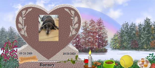 Barney's Rainbow Bridge Pet Loss Memorial Residency Image