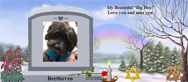 Beethoven's Rainbow Bridge Pet Loss Memorial Residency Image