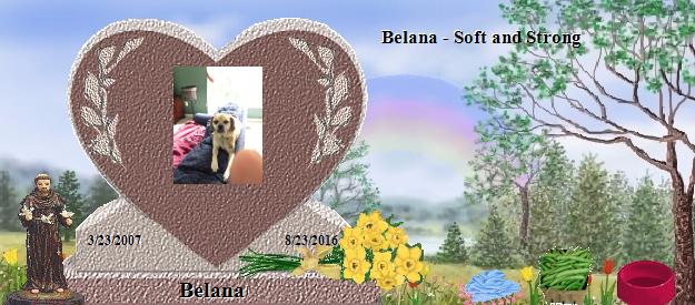 Belana's Rainbow Bridge Pet Loss Memorial Residency Image