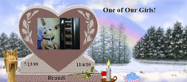 Brandi's Rainbow Bridge Pet Loss Memorial Residency Image