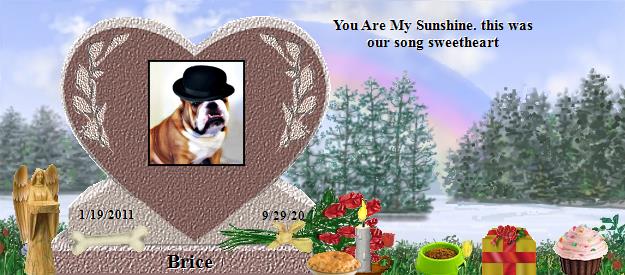 Brice's Rainbow Bridge Pet Loss Memorial Residency Image