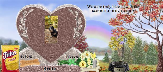 Brute's Rainbow Bridge Pet Loss Memorial Residency Image