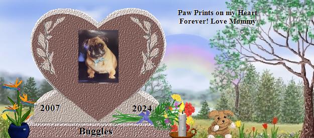 Buggles's Rainbow Bridge Pet Loss Memorial Residency Image