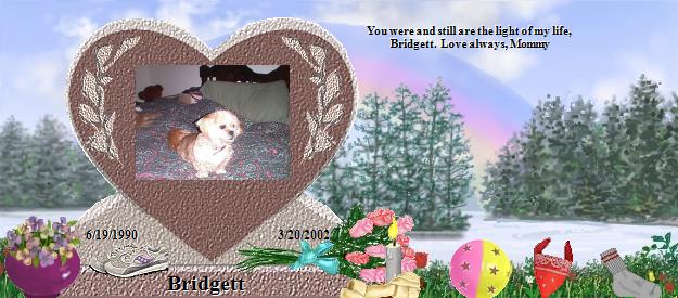 Bridgett's Rainbow Bridge Pet Loss Memorial Residency Image