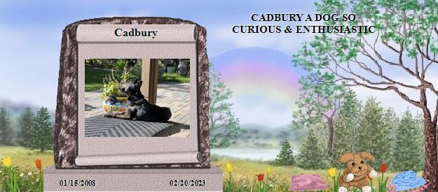 Cadbury's Rainbow Bridge Pet Loss Memorial Residency Image