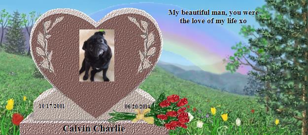 Calvin Charlie's Rainbow Bridge Pet Loss Memorial Residency Image