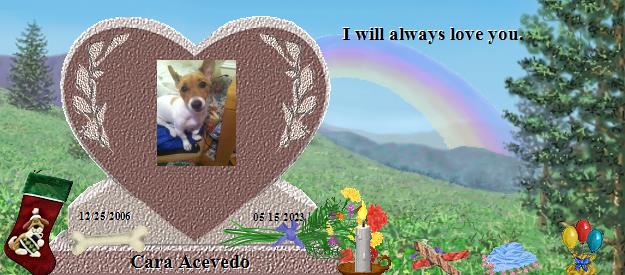 Cara Acevedo's Rainbow Bridge Pet Loss Memorial Residency Image