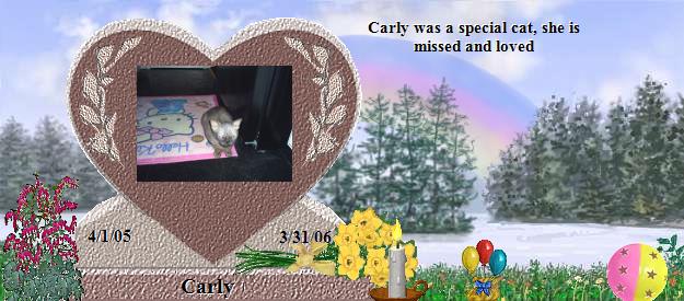 Carly's Rainbow Bridge Pet Loss Memorial Residency Image
