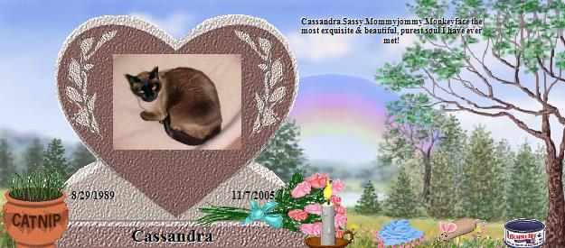 Cassandra's Rainbow Bridge Pet Loss Memorial Residency Image
