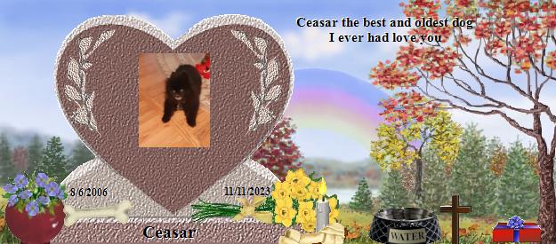 Ceasar's Rainbow Bridge Pet Loss Memorial Residency Image