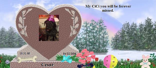 Cesar's Rainbow Bridge Pet Loss Memorial Residency Image