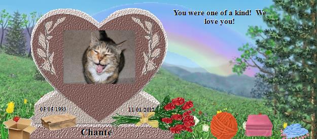 Chante's Rainbow Bridge Pet Loss Memorial Residency Image