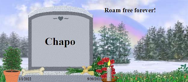 Chapo's Rainbow Bridge Pet Loss Memorial Residency Image