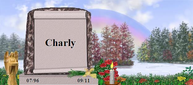 Charly's Rainbow Bridge Pet Loss Memorial Residency Image