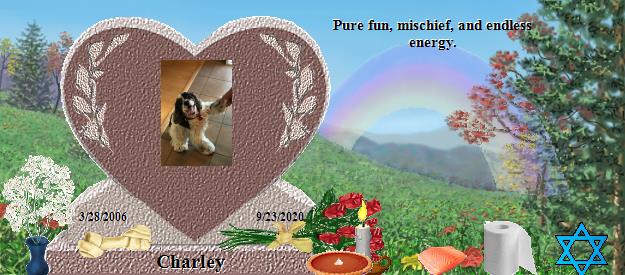 Charley's Rainbow Bridge Pet Loss Memorial Residency Image