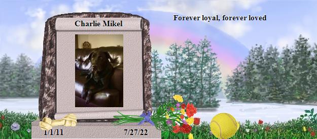Charlie Mikel's Rainbow Bridge Pet Loss Memorial Residency Image