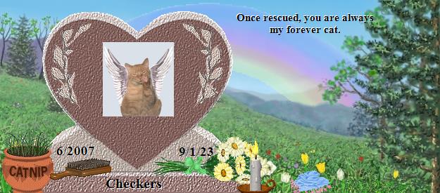 Checkers's Rainbow Bridge Pet Loss Memorial Residency Image