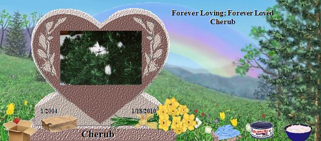 Cherub's Rainbow Bridge Pet Loss Memorial Residency Image