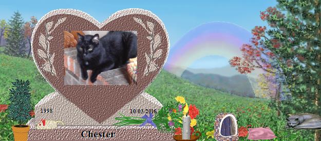Chester's Rainbow Bridge Pet Loss Memorial Residency Image