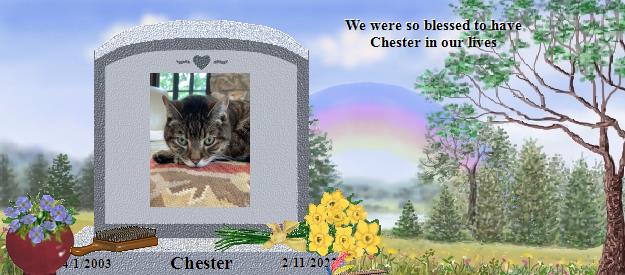 Chester's Rainbow Bridge Pet Loss Memorial Residency Image