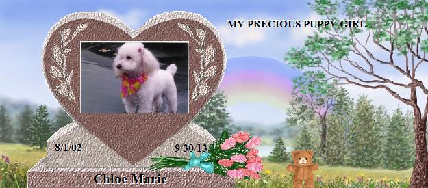 Chloe Marie's Rainbow Bridge Pet Loss Memorial Residency Image