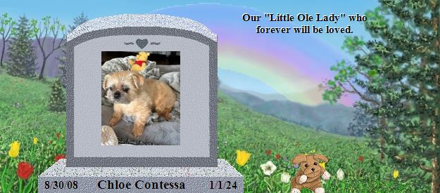 Chloe Contessa's Rainbow Bridge Pet Loss Memorial Residency Image