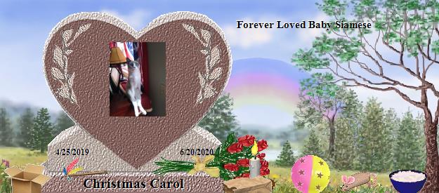 Christmas Carol's Rainbow Bridge Pet Loss Memorial Residency Image