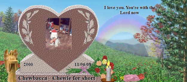 Chewbacca - Chewie for short's Rainbow Bridge Pet Loss Memorial Residency Image