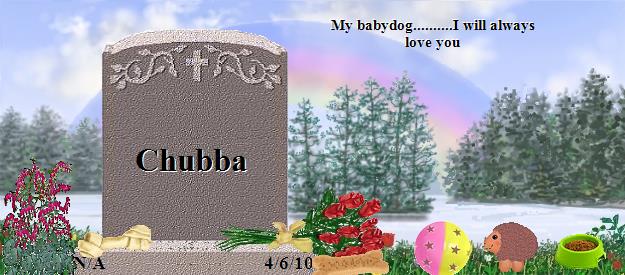 Chubba's Rainbow Bridge Pet Loss Memorial Residency Image