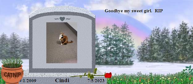 Cindi's Rainbow Bridge Pet Loss Memorial Residency Image